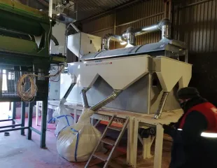 masa densimetrica selectare cereale